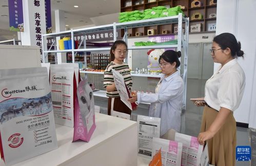 河北邢台 以乡村电商与信息咨询铺就产业振兴快车道